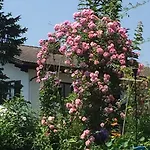 Aubauerngut Radstadt