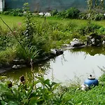 Aubauerngut