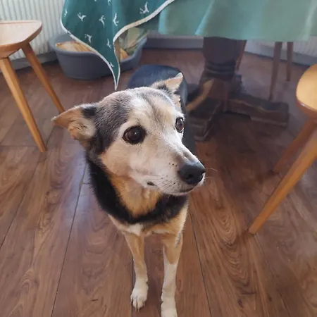 Aubauerngut Gasthuis Radstadt