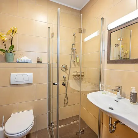 Aubauerngut Guest house Radstadt