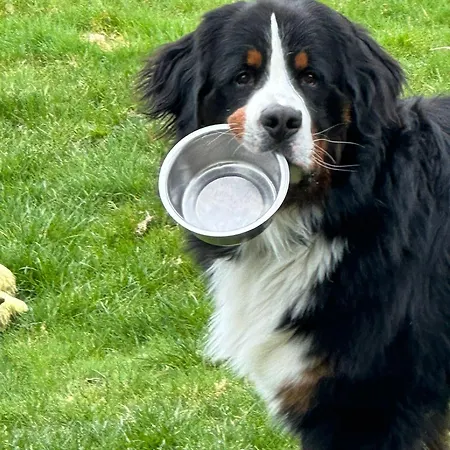 Landhaus Wolfgang Aubauerngut 3* Радштадт