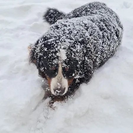 بيت ضيافة لاندهاوس أوبويرنغوت رادستادت