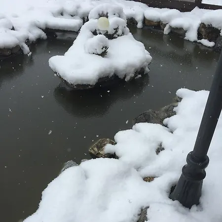 لاندهاوس أوبويرنغوت 3* رادستادت