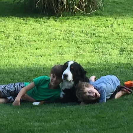 لاندهاوس أوبويرنغوت