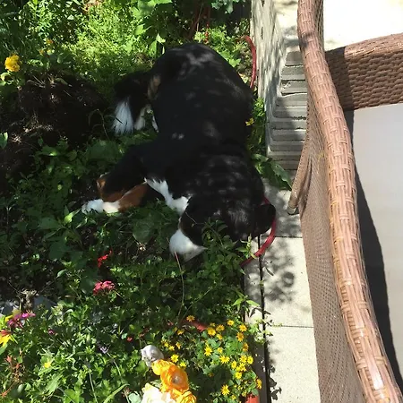 Aubauerngut Gasthuis