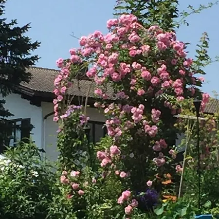 Aubauerngut Radstadt