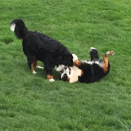 Gasthuis Aubauerngut 3*