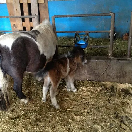 لاندهاوس أوبويرنغوت بيت ضيافة 3*