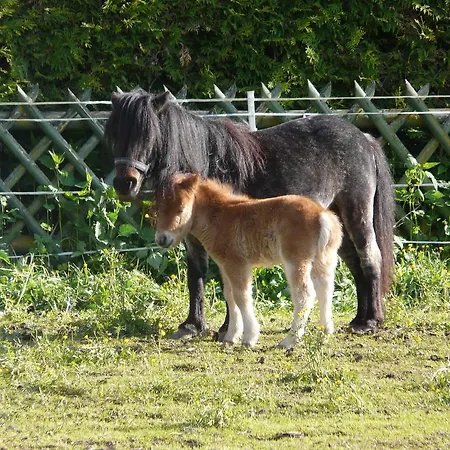 Gasthuis Aubauerngut 3*