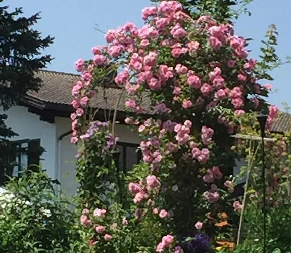 Aubauerngut Radstadt